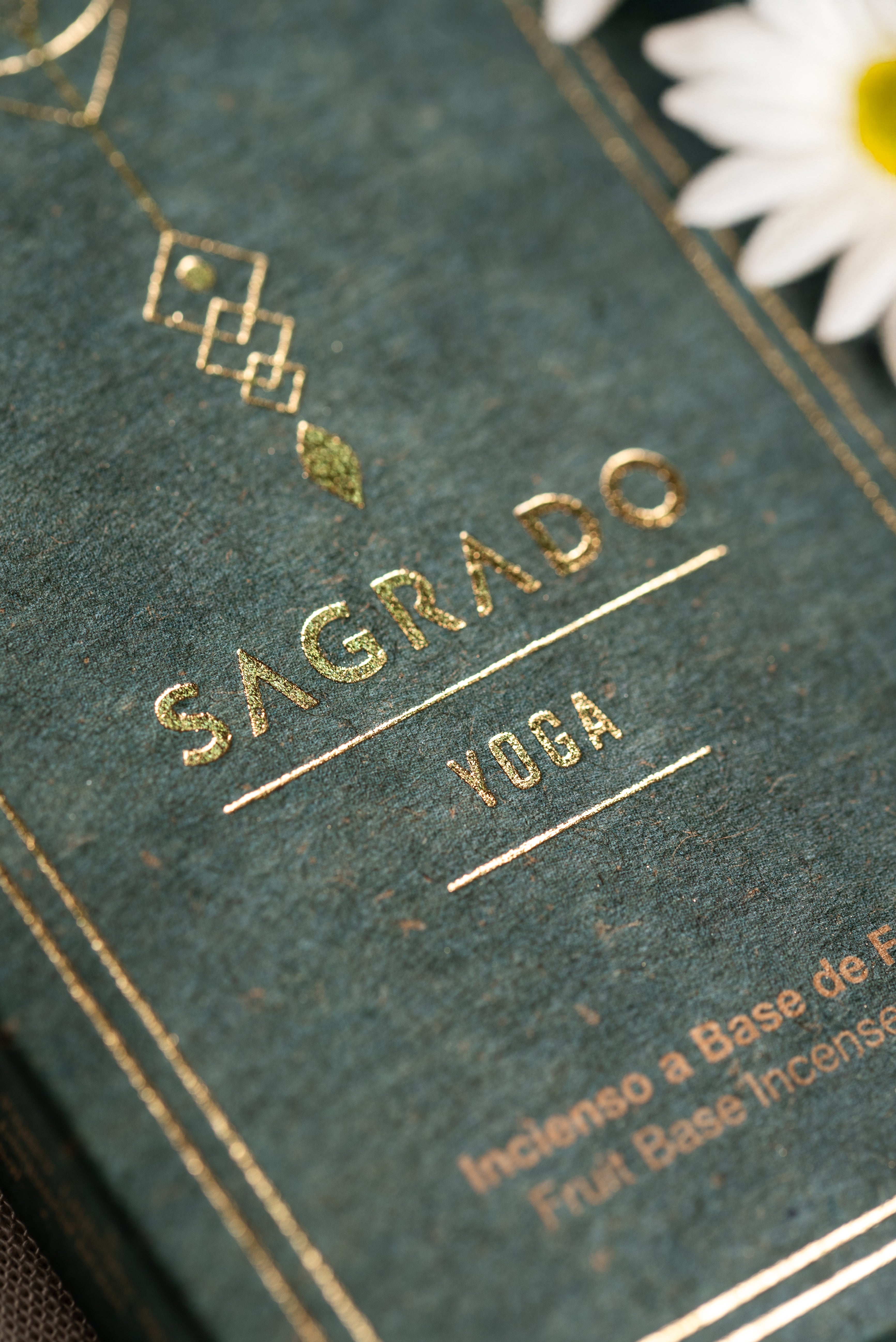 Sagrada Madre Sagrado – Joga
